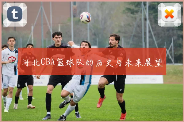 河北CBA篮球队的历史与未来展望