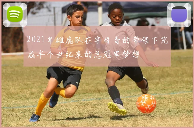 2021年雄鹿队在字母哥的带领下完成半个世纪来的总冠军梦想