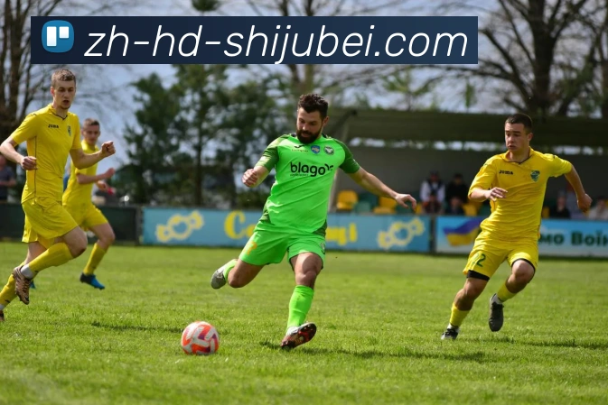 世界杯赛程表服务体系